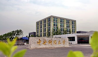 通知 | 第十三屆中央財(cái)經(jīng)大學(xué)案例大賽