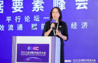 北京大學宋潔：需根據(jù)數(shù)據(jù)外部性等特征 從全生命周期視角確定數(shù)據(jù)資產評估方法