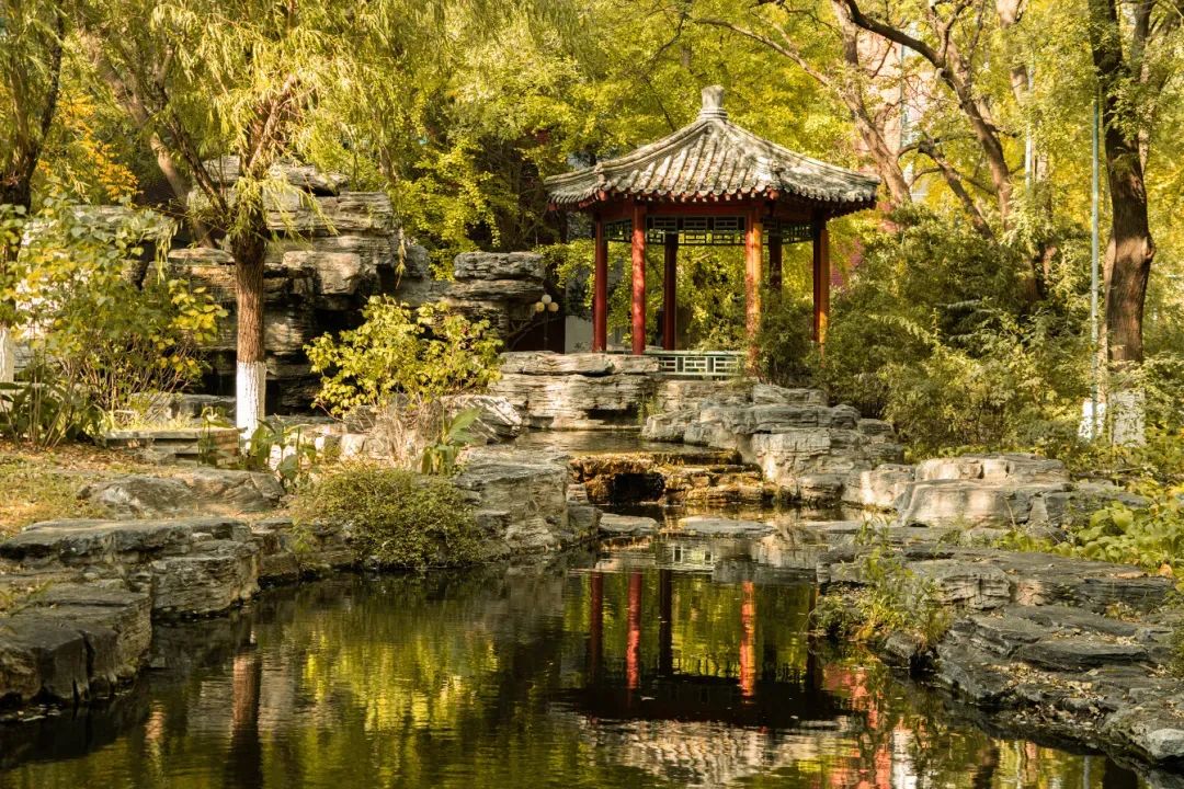 答疑 | 2025年全國碩士研究生招生考試中國傳媒大學(xué)考點（1133）網(wǎng)上確認常見問題
