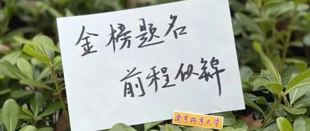 南京林業(yè)大學2025MBA招生咨詢通道正式開啟